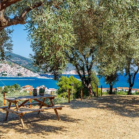 Olive Grove Apartment Skopelos Exteriér fotografie