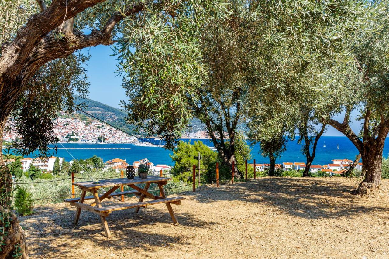 Olive Grove Apartment Skopelos Exteriér fotografie