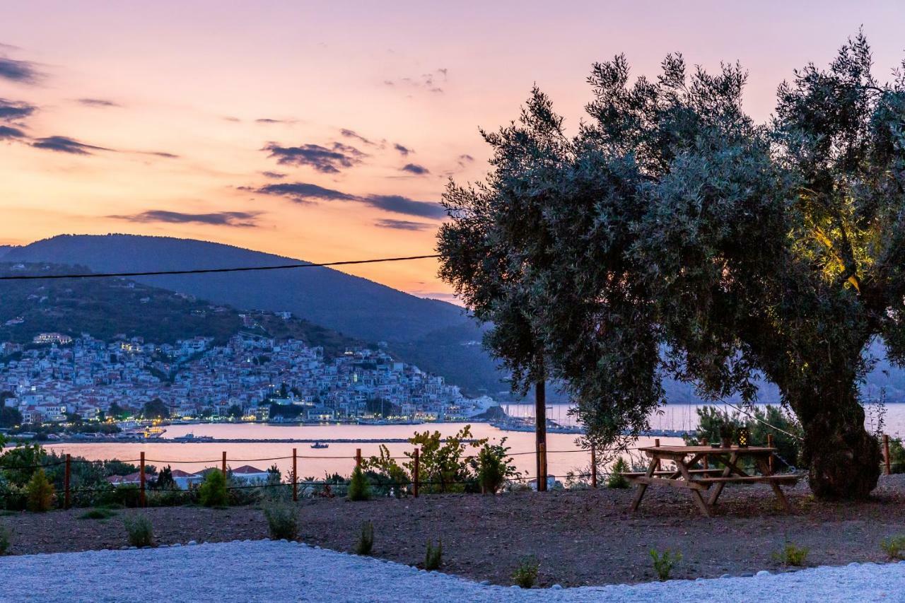 Olive Grove Apartment Skopelos Exteriér fotografie