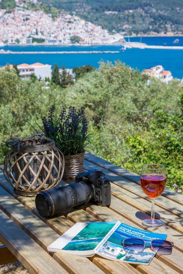 Olive Grove Apartment Skopelos Exteriér fotografie