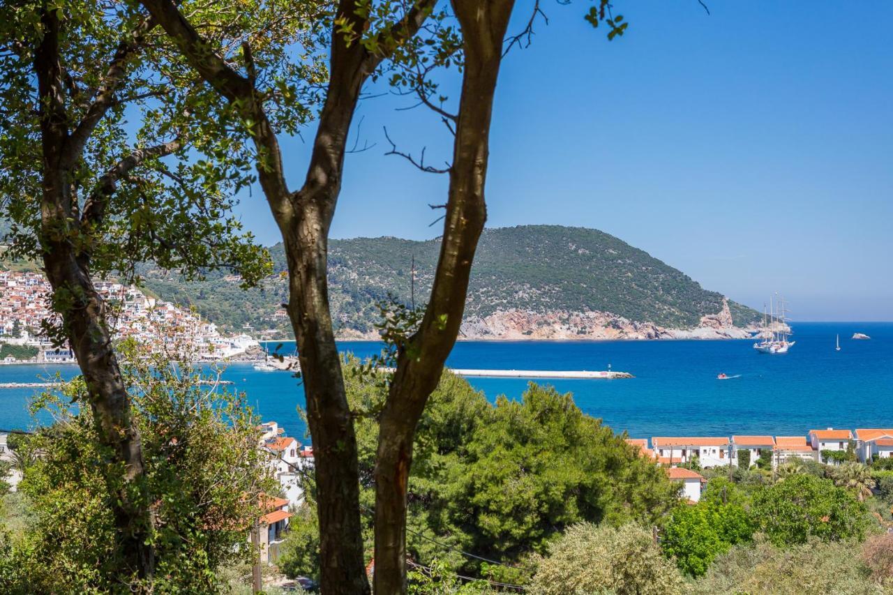 Olive Grove Apartment Skopelos Exteriér fotografie