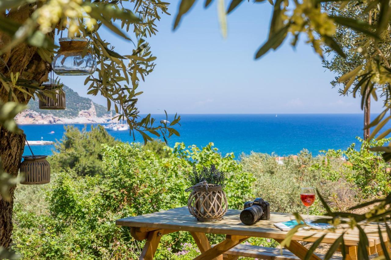 Olive Grove Apartment Skopelos Exteriér fotografie