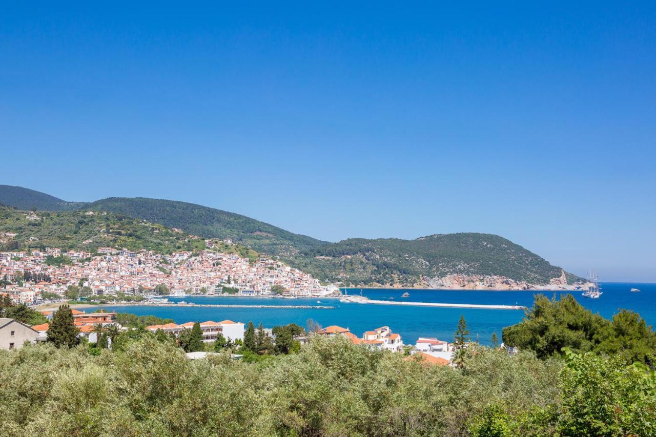 Olive Grove Apartment Skopelos Exteriér fotografie