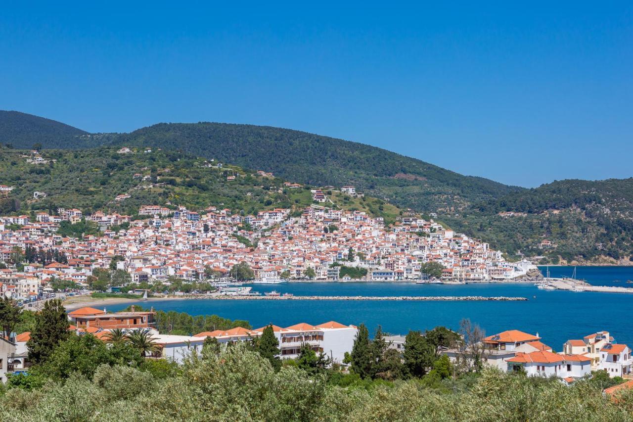 Olive Grove Apartment Skopelos Exteriér fotografie