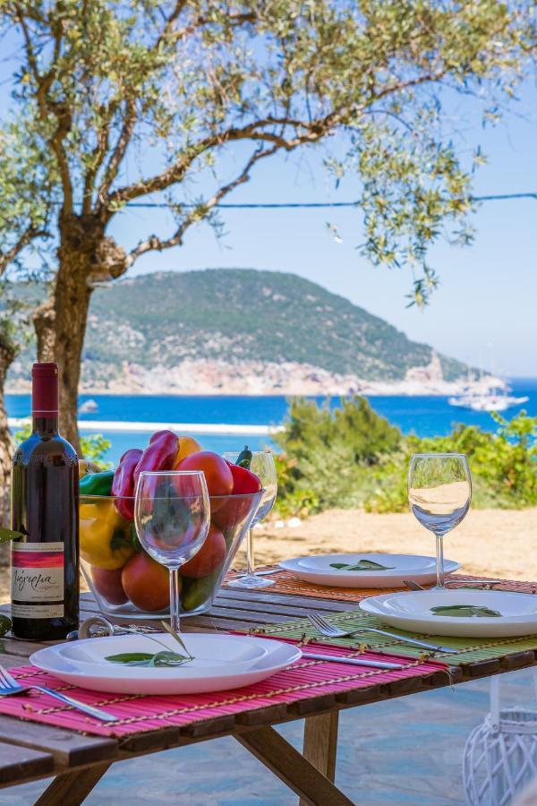 Olive Grove Apartment Skopelos Exteriér fotografie